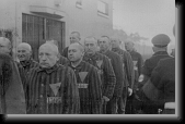 Prisoners in the concentration camp at Sachsenhausen, Germany, December 19, 1938 * U-Lead Systems, Inc. * 1528 x 1005 * (194KB)